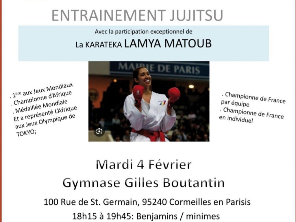 Image de l'actu 'ENTRAINEMENT DE MASSE JUJITSU 95'